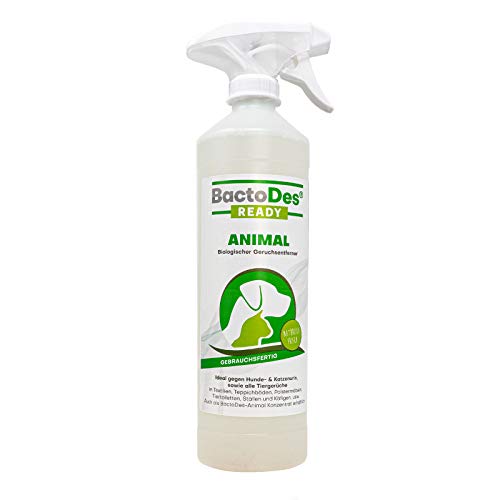 BactoDes Animal Ready, Eliminador de olores y Manchas. Spray Listo para Usar. Limpiador enzimático contra orina de Gato, Perro, olores de Animales, 1 L.