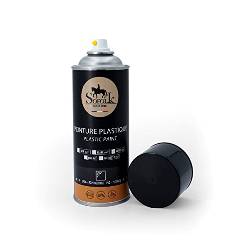 SOFOLK Pintura plástica de Alta Resistencia para Coches, salpicadero, embellecedores de Puertas, Parachoques 01-Matt Black