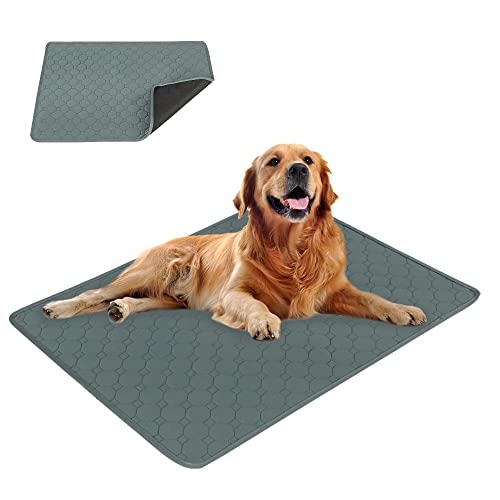 Eastlion Empapadores para Perros,Almohadilla de Entrenamiento Lavable y Reutilizable,Alfombra para Perros Superabsorbente,Almohadillas para Cachorro Apto para Perros y Gatos(1 Piezas 60x45cm) S-Gris