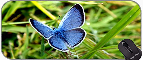 Alfombra de ratón de goma antideslizante, mariposa Costa Rica Insecto Mousepad XXL para juego