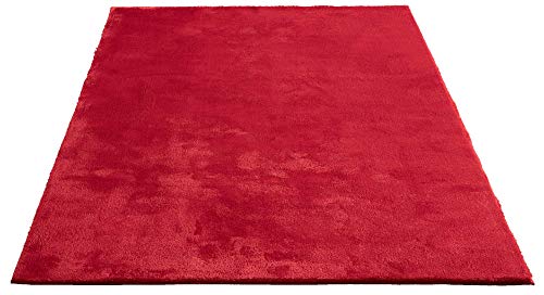 the carpet Relax - Alfombra Moderna y mullida de Pelo Corto, para salón, Parte Inferior Antideslizante, Lavable hasta 30 Grados, Muy Suave, Rojo, 60 x 110 cm