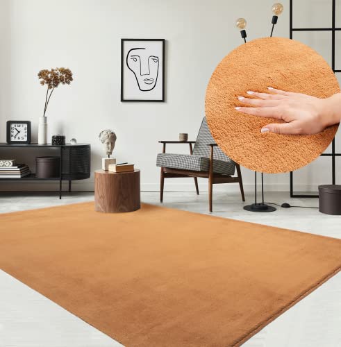 the carpet Relax - Alfombra Moderna y mullida de Pelo Corto, para salón, Parte Inferior Antideslizante, Lavable hasta 30 Grados, Muy Suave, Terra, 60 x 110 cm