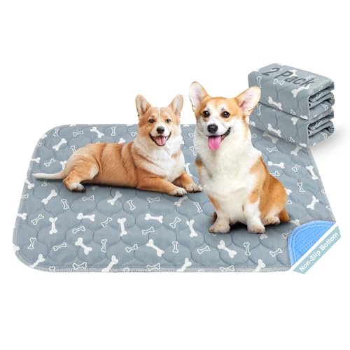 Aomig Alfombras Lavables para Perros de Entrenamiento, 2pcs Almohadillas de Entrenamiento Reutilizables para Perros, Alfombra para Perros Superabsorbente para el Parto, Antideslizantes, 40 * 60cm