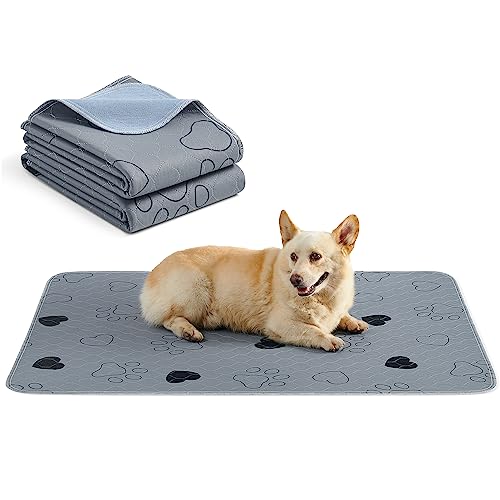Feandrea Alfombras Lavables para Perros, Alfombras Absorbentes Reutilizables, 122 x 91 cm, Juego de 2, XL, Impermeables, Antideslizantes, Alta Absorbencia, para Gatos, Conejos, Gris PTD036G01