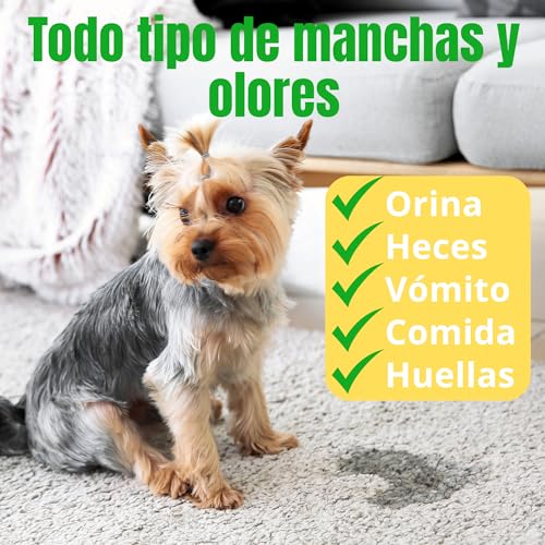 Limpiador de Manchas y Olores para Mascotas | Elimina Orina, Heces, Comida y Huellas | Evita Marcaje Repetido | Para Suelos, Alfombras y Tapicerías | Varios formatos (2, 1 Litro)