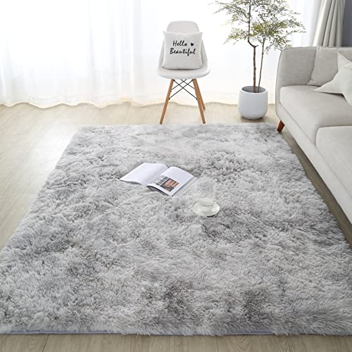 Lanyesky Alfombra Grande de Pelo Largo esponjoso y Lavable, para salón, Dormitorio o Habitación (80x120cm, Gris Claro)
