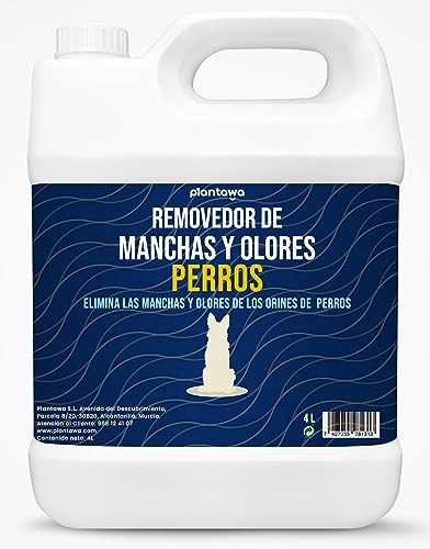 Plantawa Removedor de Olores y Manchas de perro 4 Litros; Limpiador enzimático con PROBIOTICOS NATURALES, poder de limpieza. Alfombras y Muebles | Elimina Heces, Orina, Vómito