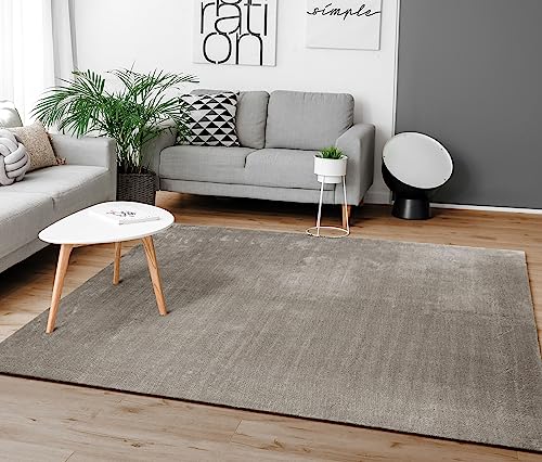 Paco Home Alfombra para la Sala de Estar Unicolor Lavable Suave Pila Corta, tamaño:200x280 cm, Color:Gris