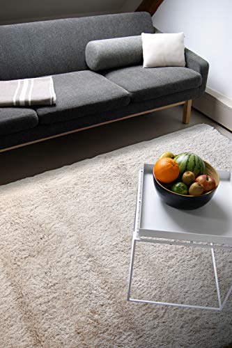 floor factory Alfombra Moderna Delight Beige 160x230cm moqueta Noble Suave y Sedosa