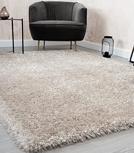 Mia's Teppiche Fiona - Alfombra para salón o Dormitorio, 120 x 160 cm, Color Beige (80123 70)