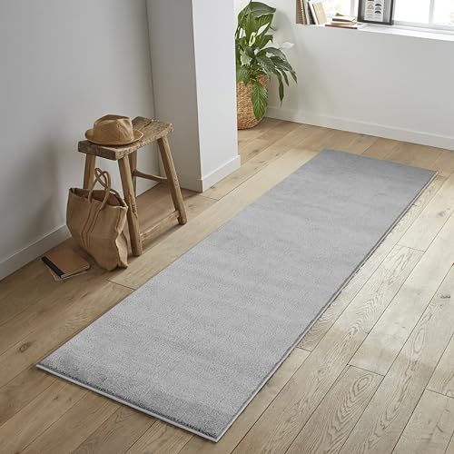 Jimri Alfombra mullida de Pelo Corto de para el hogar, Oficina, Cocina, Entrada, Pasillo, Sala de Estar, Lavable a máquina, Antideslizante, Lavable - Plateado, 60 x 110 cm