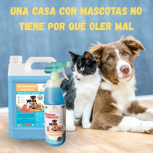 Limpiador de Manchas y Olores para Mascotas | Elimina Orina, Heces, Comida y Huellas | Evita Marcaje Repetido | Para Suelos, Alfombras y Tapicerías | Varios formatos (2, 1 Litro)