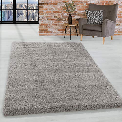 HomebyHome Alfombra Salon Peludo de Pelo Largo 50mm Beige 80x150 cm - Alfombras de Habitacion Sala de Estar Modernas Suave y Esponjoso - Alfombras Dormitorio Moqueta Cocina Infantil Corredor