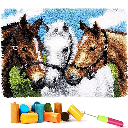 EMISTEM Kits de gancho de pestillo para adultos, kits de alfombra de gancho de pestillo para niños, kit de ganchillo para principiantes, kits de fabricación de alfombras con lienzo impreso, embalaje