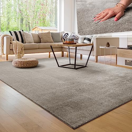 Paco Home Alfombra para la Sala de Estar Unicolor Lavable Suave Pila Corta, tamaño:200x280 cm, Color:Gris